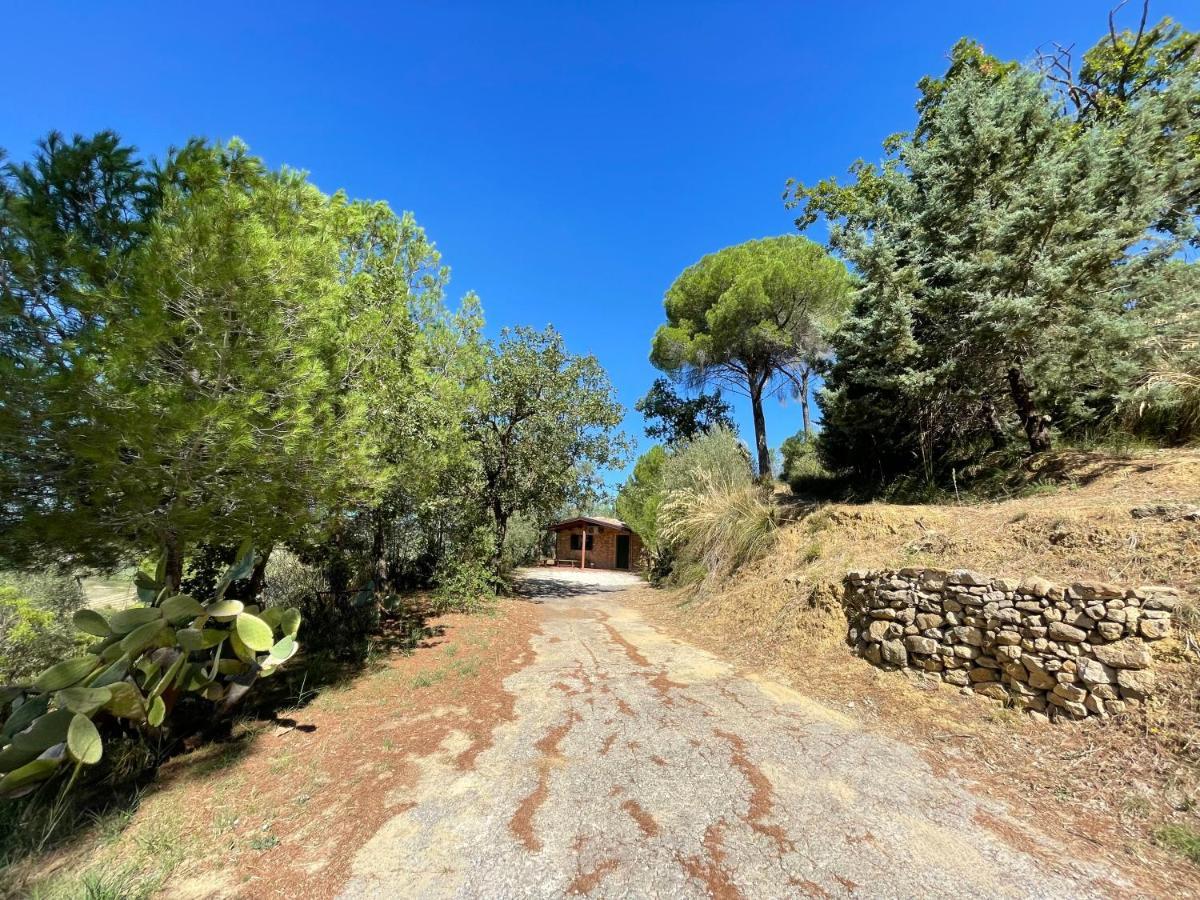 Wonderful House In The Heart Of Sicily Villa Piazza Armerina Bagian luar foto